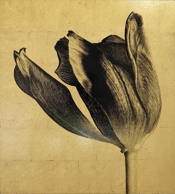 <p>Tulipe 10. 50 x 45 cm Collection particulière</p>