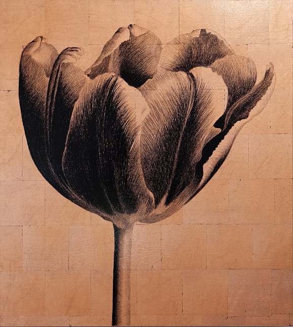 <p>Tulipe 11. 50 x 45 cm Collection particulière</p>