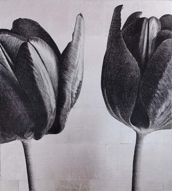 <p>Tulipe 12. 51 x 46 cm Collection particulière</p>
