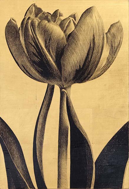 <p>Tulipe 14. 43 x 29 cm Collection particulière</p>