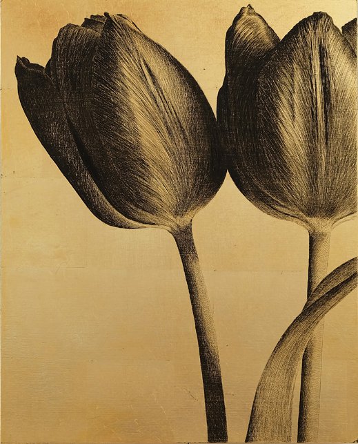<p>Tulipe 15. 51 x 41 cm</p>
