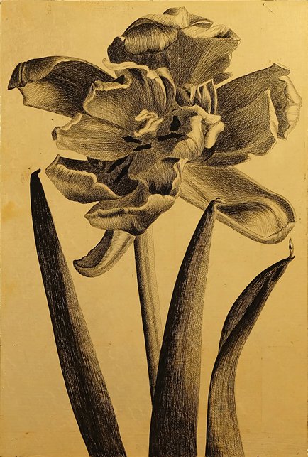 <p>Tulipe 16. 43 x 29 cm</p>