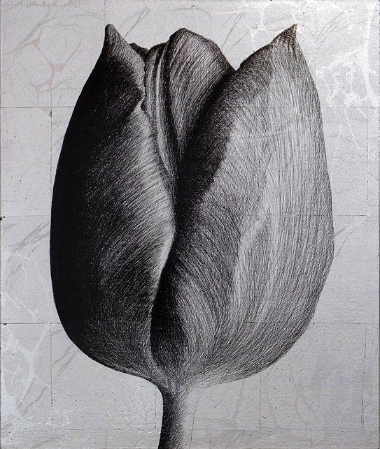 <p>Tulipe 1. 40 x 34 cm Collection particulière</p>