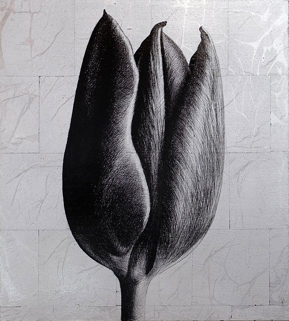 <p>Tulipe 3. 40 x 36 cm Collection particulière</p>