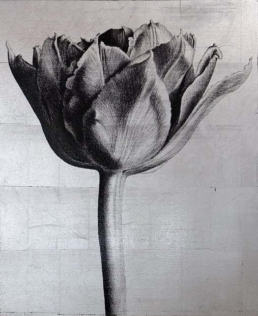 <p>Tulipe 4. 49 x 40 cm Collection particulière</p>